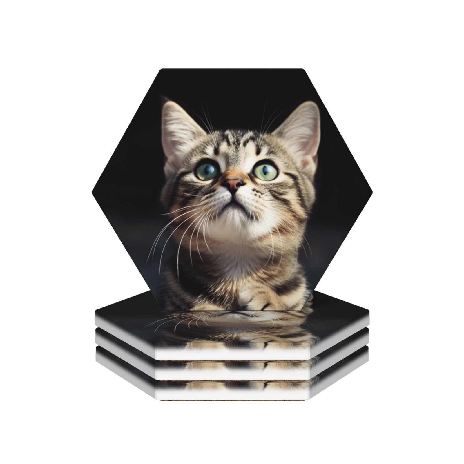 Dessous de verre absorbant chat en céramique anti-tache et anti-rayure pour table basse