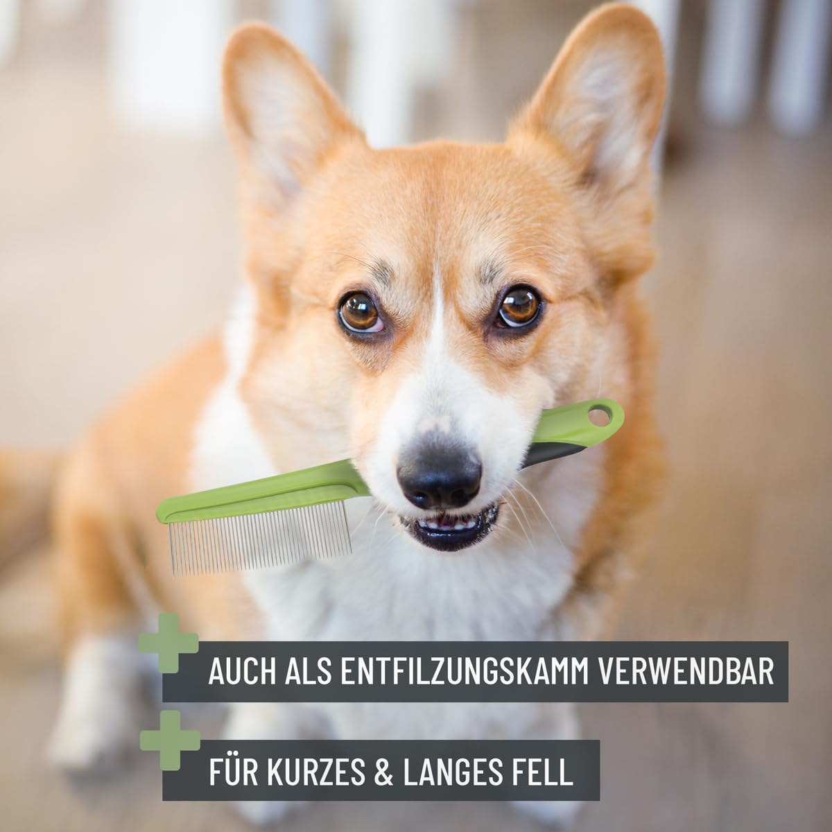 ReaVET Peine antipulgas y peine para piojos para perros y gatos – Peine contra pulgas, piojos, parásitos I para pelo largo y pelo corto I para el cuidado suave del pelaje, peine para garrapatas perro