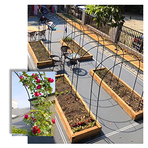 Pérgola de metal para jardín, el soporte ideal para tus vides y rosas 7