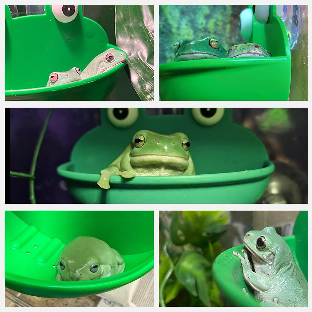 2 Stück Frosch Habitat Mit Saugnäpfen – Kleines Aquarium Für Frösche, Kaulquappen, Amphibien, 12,7x8,9x7,9 Cm