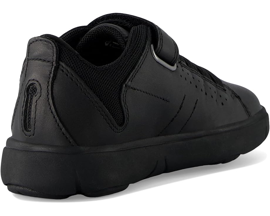 Geox Kids Nebcup Boy 2 (Little Kid) - Back View