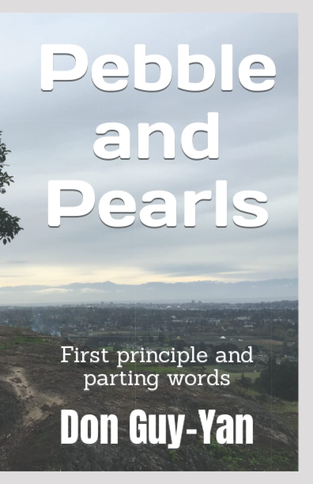 Pebble and Pearls: First principle and parting words (Rhyme and Murmur)