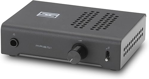 Schiit Magni Heretic 120db SINAD 2400mW Amplificador de auriculares y preamplificador (negro)