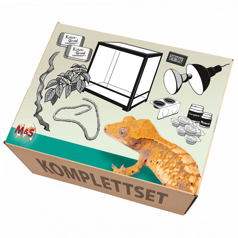 Komplettset: Für Kronengeckos (60x45x90cm) Terrarium mit ReptiZoo Glas- Terrarium 60x45x90cm (RK0124N)