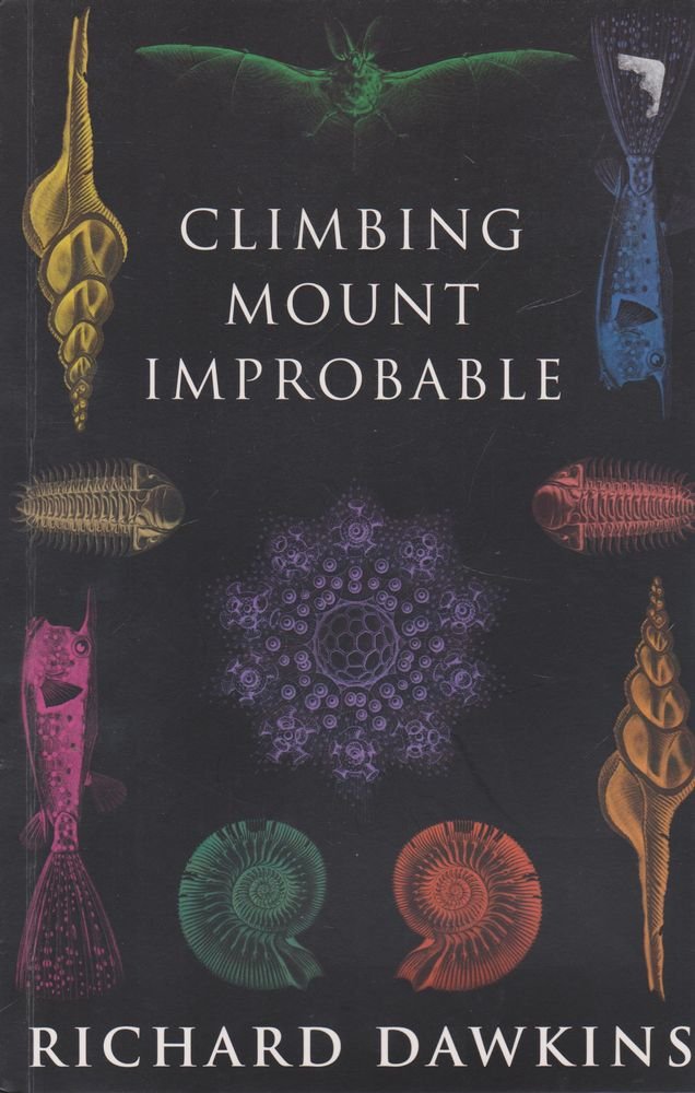 Climbing Mount Improbable