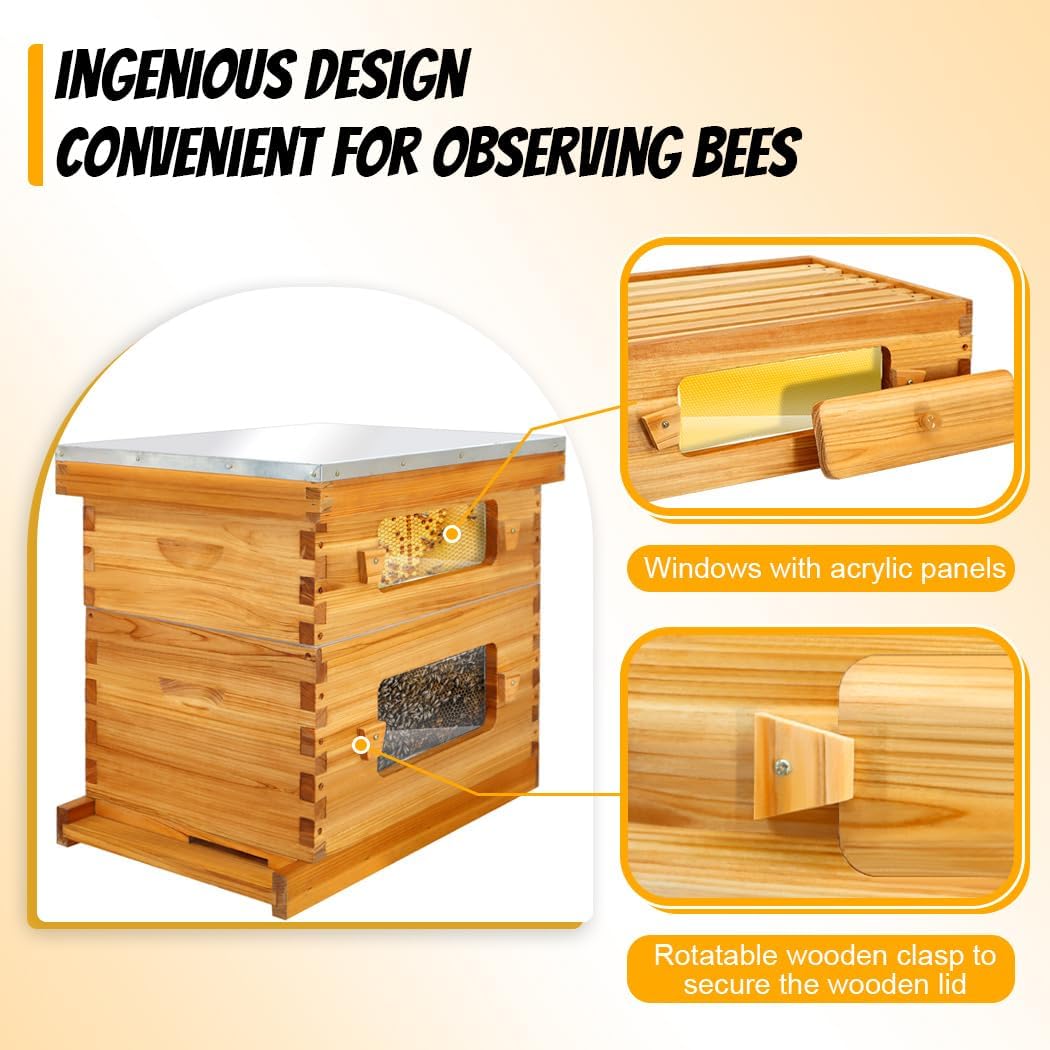 Honey Lake Bee Hive with Windows, 8 Frame Langstroth Complete Beehive Starter Kit Dipped in Beeswax with Beehive Frames and Waxed Foundations (1 Deep Brood Bee Hive Box & 1 Medium Super Bee Box)