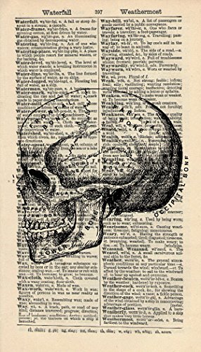 SKULL VINTAGE ART PRINT - VICTORIAN ART PRINT - Illustration - Black and White Print - Skeleton Art Print - Anatomy Art Print - Vintage Dictionary Art Print - Wall Hanging - Book Print - 400B
