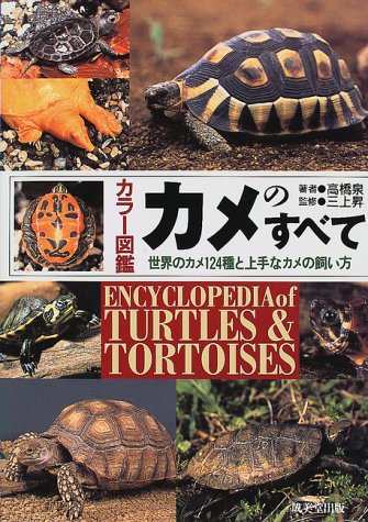 カメのすべて カラー図鑑シリーズ 高橋 泉 昇 三上 本 通販 Amazon カメのすべて カラー図鑑シリーズ 高橋 泉 昇 三上 本 通販 Amazon