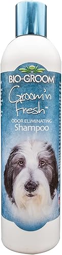 Bio-Groom Groom 'N Fresh ChampĂş acondicionador para perros y gatos, 12 onzas Bio-Groom Groom 'N Fresh ChampĂş acondicionador para perros y gatos, 12 onzas