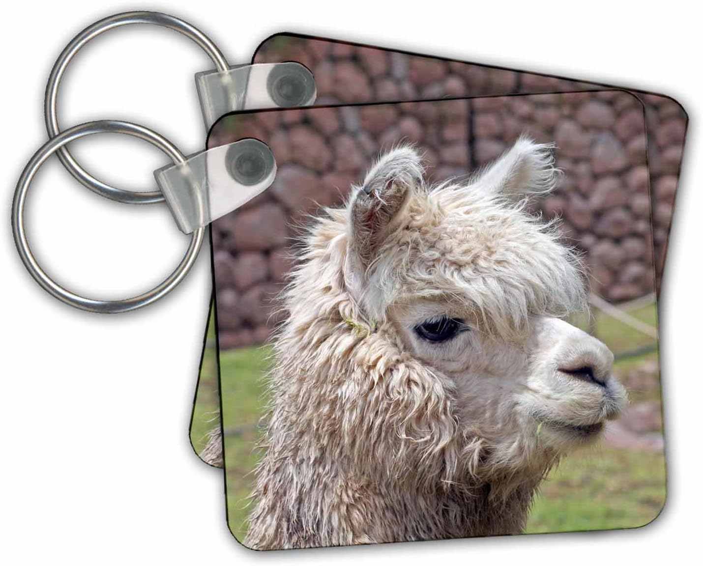 3dRose Key Chains Peru. Alpaca wildlife, Awana Kancha, Urubamba Valley - SA17 KWI0128 - Kymri Wilt (kc-87050-1)