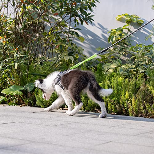 Yangbaga Ruckdämpfer,hundefreundliche Leine, elastische Hunde Leine mit Zugdämpfung, Nylon-Kurzleine Perfekte Dämpfung beim Fahrrad für Hunde ab Kleiner Größe Grün (2 * 26cm)