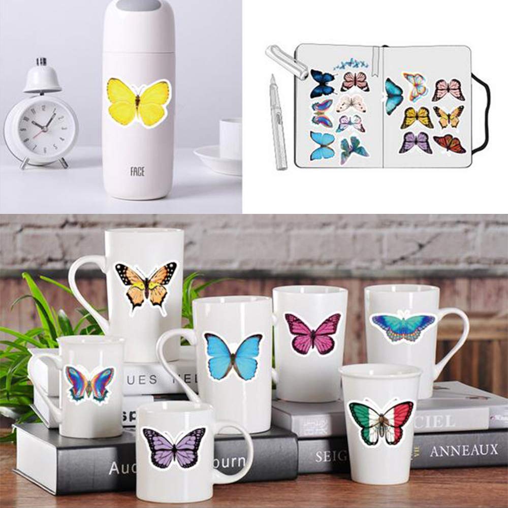 https://m.media-amazon.com/images/I/610EJTzhE0L.jpg
