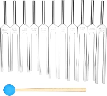 Amazon.co.jp: 音叉セット、 異なる周波数の11個のアルミニウム