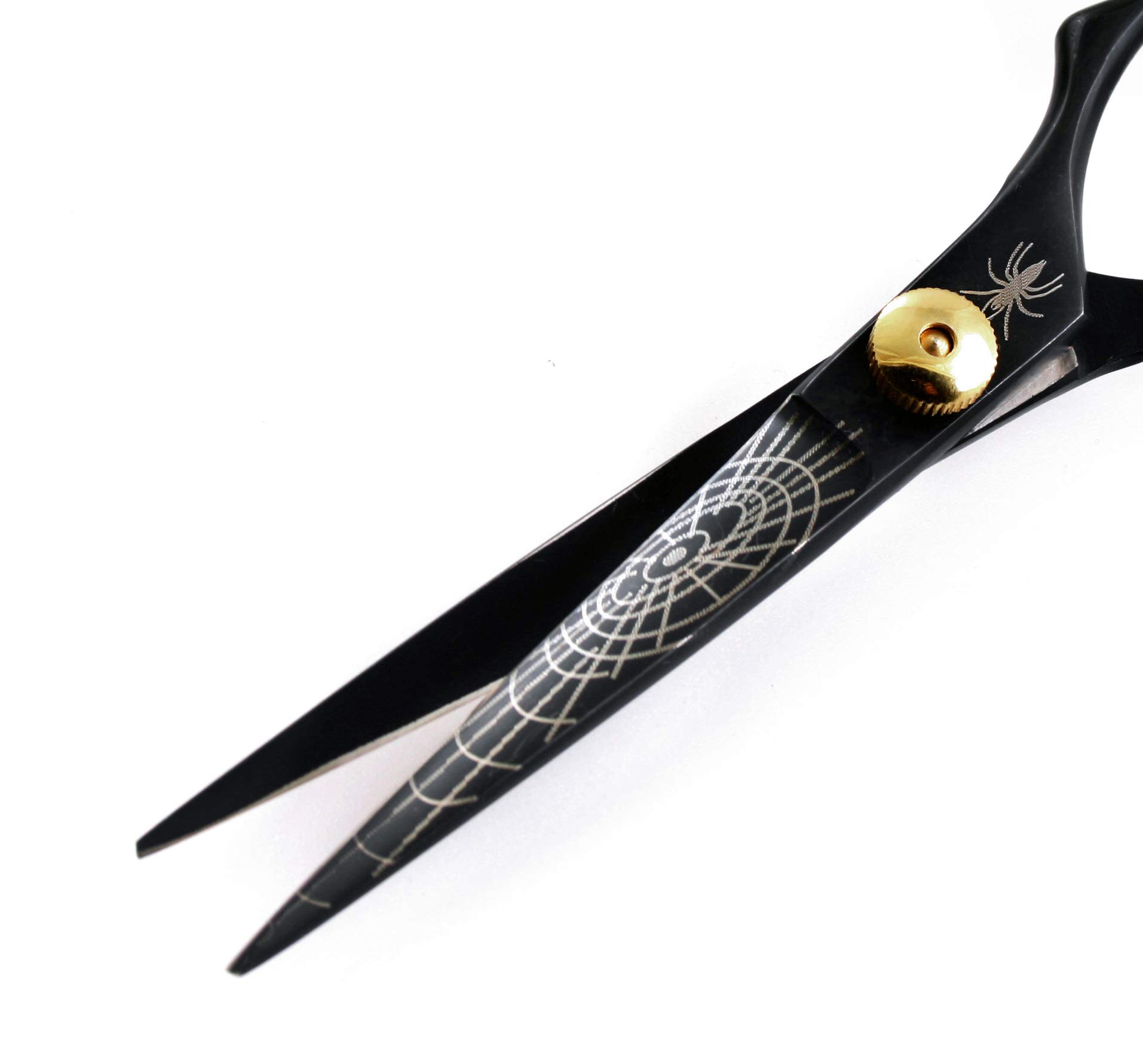 Professional Hairdressing Scissors, Eye Catching Web, For all Hair Cutting Needs, Suitable for Men, Women and for Children Hair Cuttings + Presentation Case