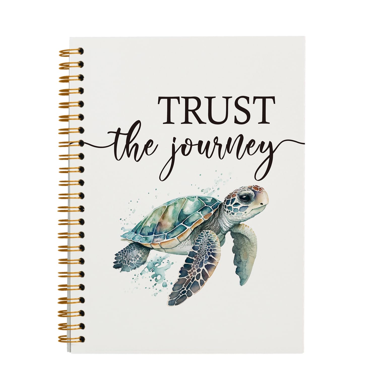 Certified Turtle Whisperer: Turtle Gifts For Women, Men And Turtle Lovers:Green Sea Turtle Blank Lined Notebook/Journal To Write In.: 9781670854988: Press, ZOO Gifts & Journals