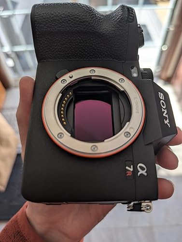 Review Image by Darko