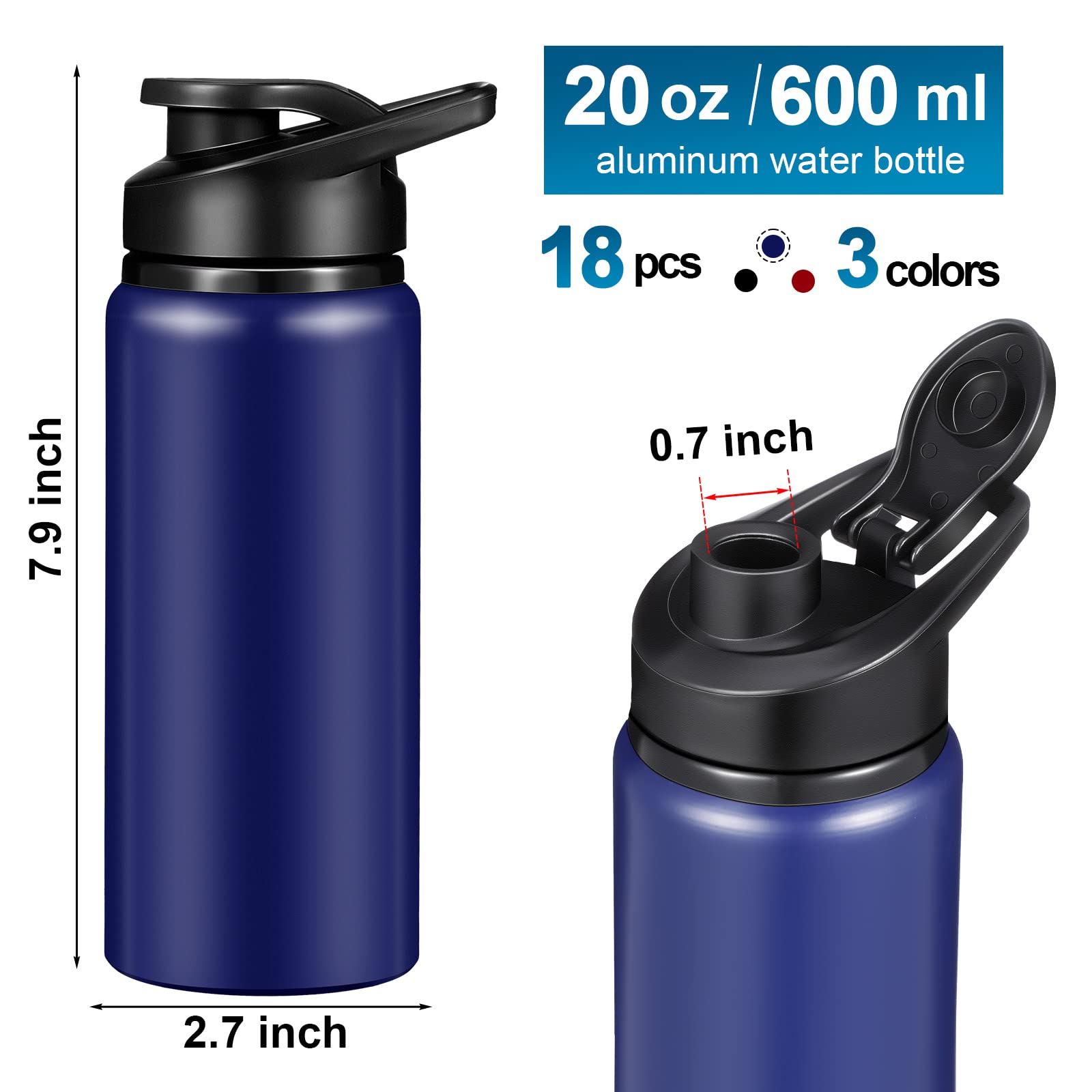 12 Pack Multicolor Aluminum Water Bottles - 20oz, Lightweight, With Inspirational Quotes, For Travel & Sport