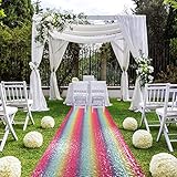 ShiDianYi Rainbow Aisle Runner for Wedding 15FTx2FT Seuqin Aisle Runners for Bride Glitter Sequin Fabric Aisle Runner for Wedding Ceremony Outside Multicolor Carpet for Party Graduation