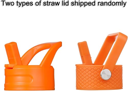 Miniatura 6 de BJPKPK Botella de agua aislada con tapa con pajilla, botellas de agua de metal de acero inoxidable de 15 onzas, termo reutilizable a prueba de