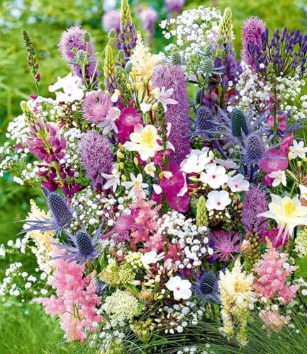 BALDUR Garten 12er Stauden-Mix 'La vie en rose', Knollen in Größe I, verbreitet ein romantisches Flair im Garten, filigrane Blüten in zarten Farben, winterharte Prachtstauden für ca. 5 m² Fläche