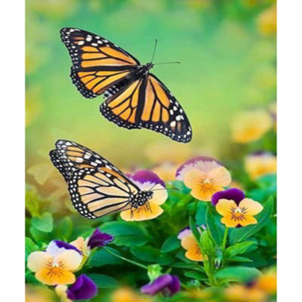 Diy diamant peinture fleurs papillons contre le stress perle ronde