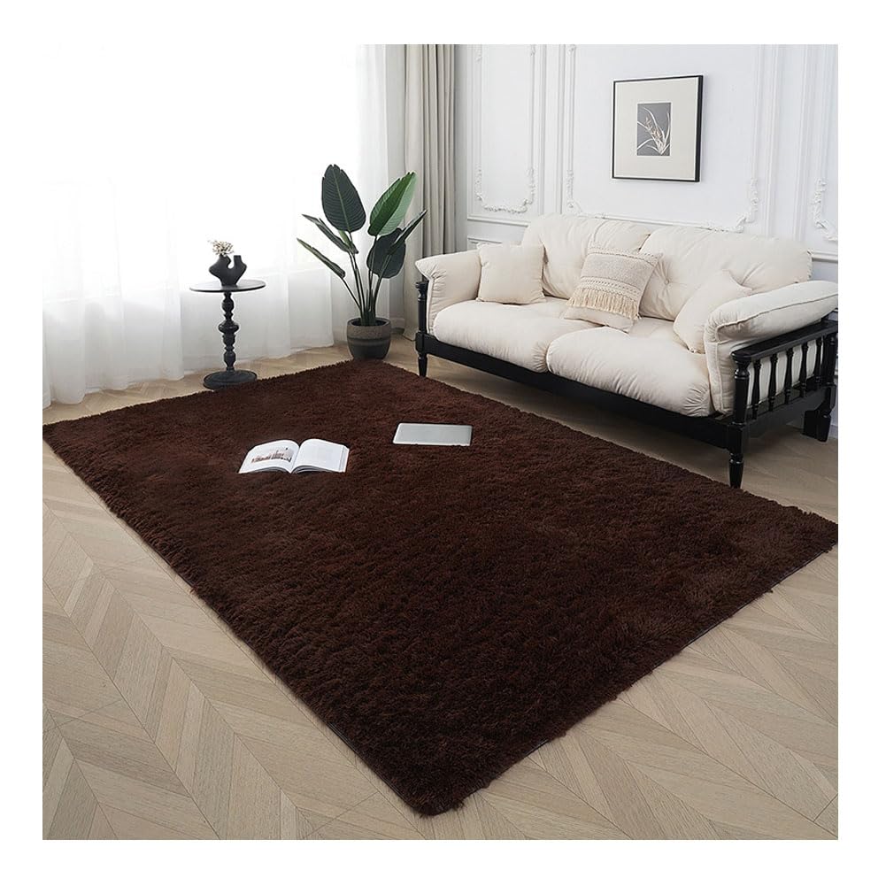 Tapis à poils longs café 80x200cm pour un salon moderne