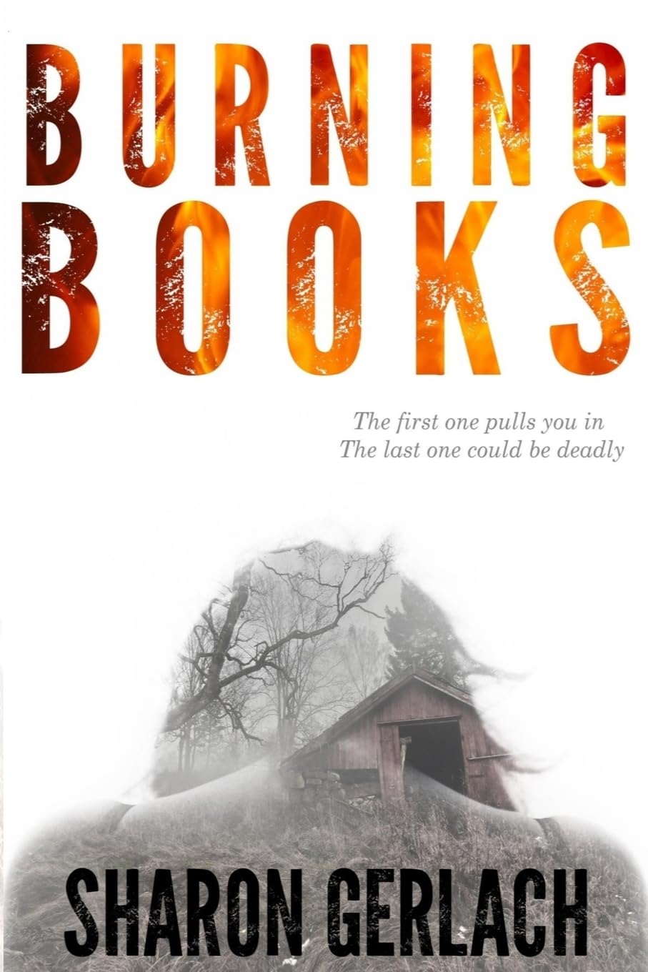 Burning Books