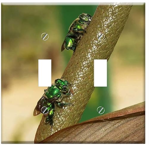 Switch Plate Double Toggle - Insect Animalia Wild Life Nature Outdoors Quindio