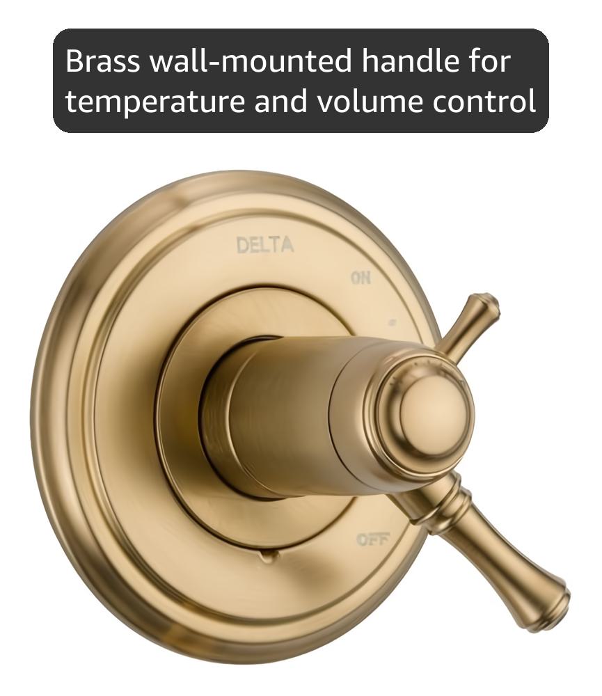 Delta Faucet Cassidy 17T Series Dual-Function Shower Trim Kit with