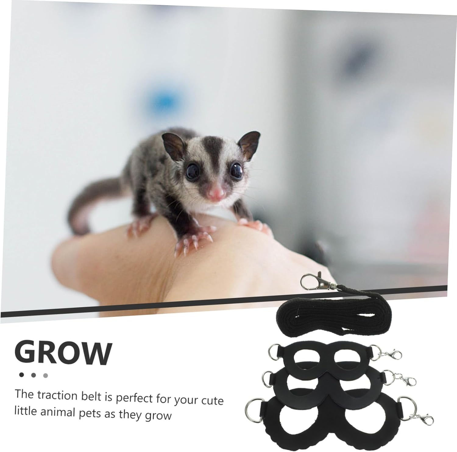 Adjustable Sugar Glider Leash Traction Rope Black Small PET Walking Harness Bite Chain for Outdoor Use