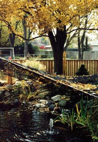 Dewitt PN303232 Deluxe Pond Protection Net, 32 X 32 Foot