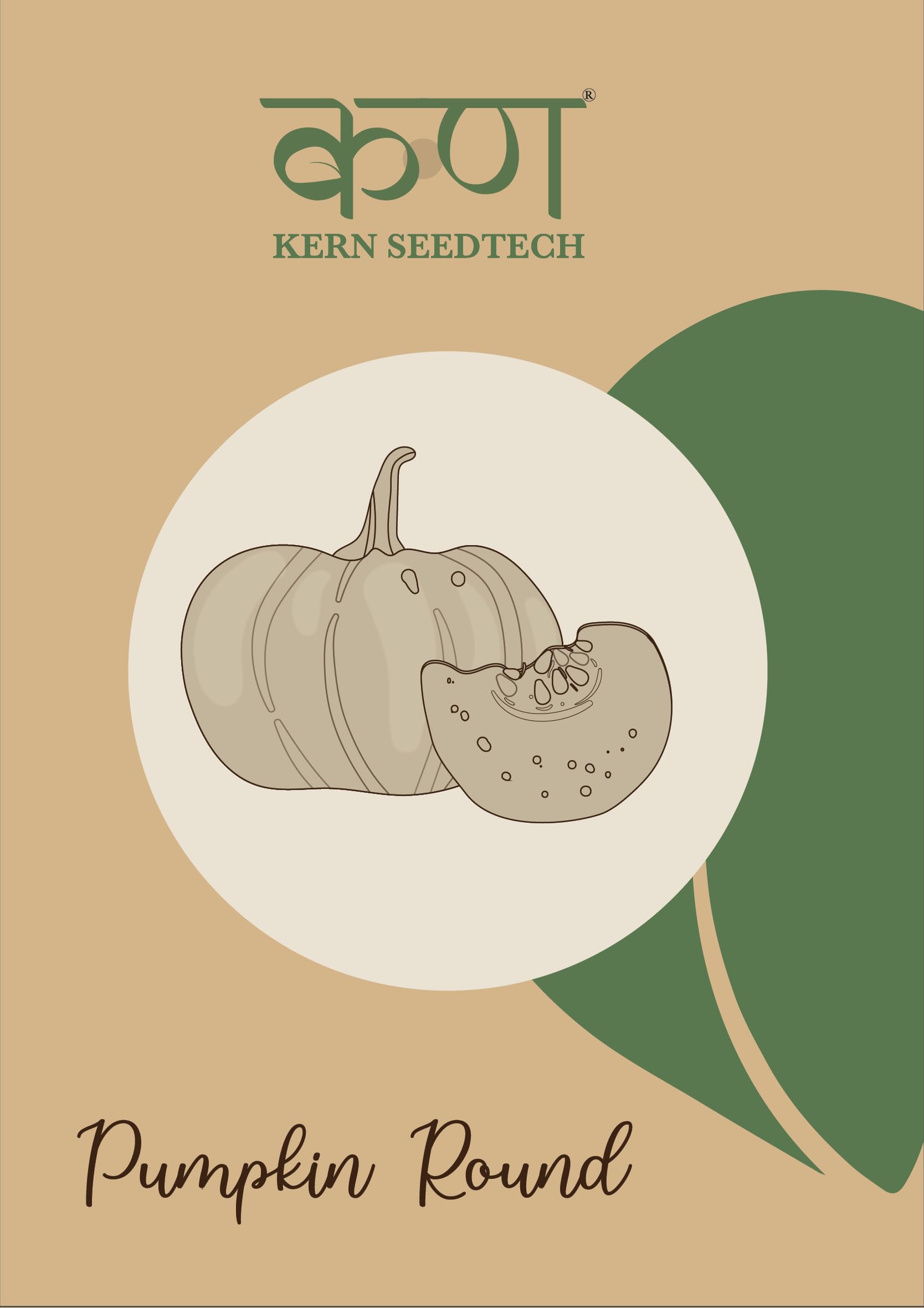 Kern SeedTech Vegetable Pumpkin Seeds | Desi Kaddu Round Seeds For Home Gardening Farming | Pack Of 200 Seeds (B0CWH7RMW1) Amazon Price History, Amazon Price Tracker