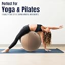 TECHO-Fit Protective Fabric Cover for 65cm Exercise Ball – Anti-Scratch, Foldable, Lightweight Ball Cover for Yoga, Fitness, Pregnancy, and Home Gym Use (Brown) gallery image