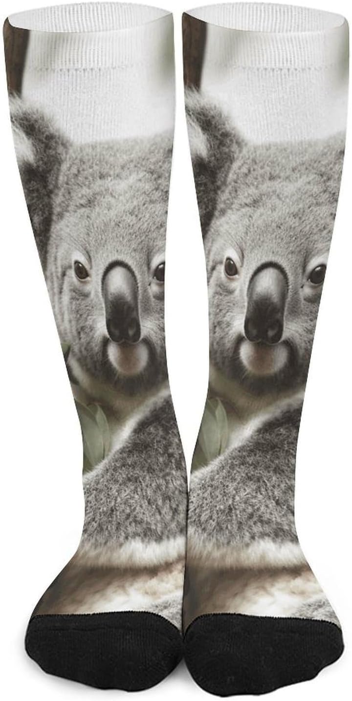 Koala Knee High Soccer Socks Moisture Wicking