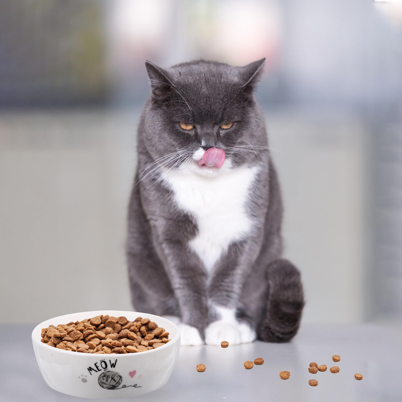 Keramik Futternapf für Katzen rutschfest mit Cartoon Motiv zum Füttern und Trinken