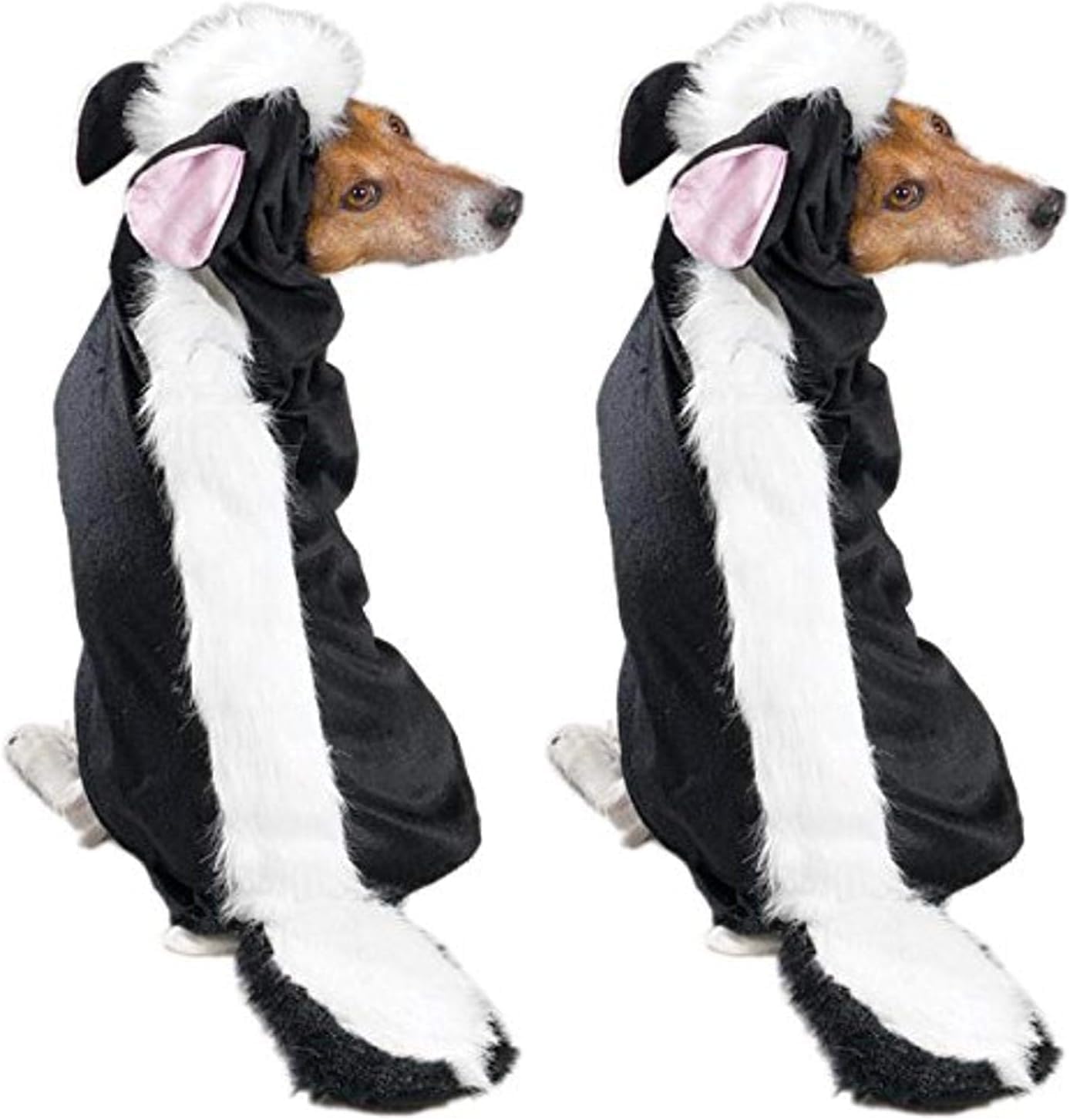 Casual Canine Lil' Stinker Dog Costume, Medium (fits lengths up to 16"), Black/White