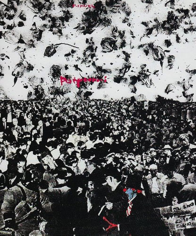 P-MODEL Potpourri LP アナログレコード 平沢進 ポプリ Amazon.co.jp: ポプリ: ミュージック