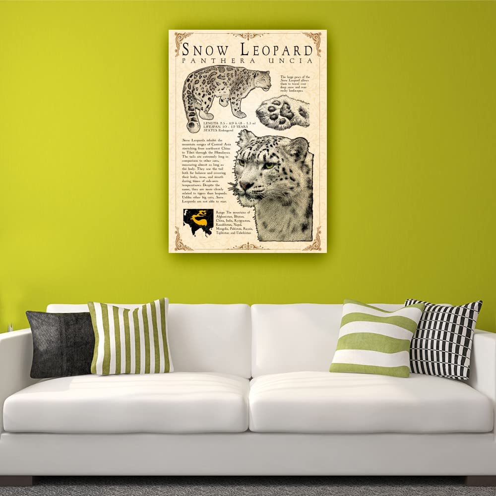 Snow Leopard Wall Art Knowledge Poster Educational Wall Art Vintage Prints Snow Leopard Infographic Poster Pictures for Bedroom Paintings for Bathroom Artwork Decor for Kitchen Decorations (08x12inch(20x30cm),Unframed): 12L" x 8W" Framed