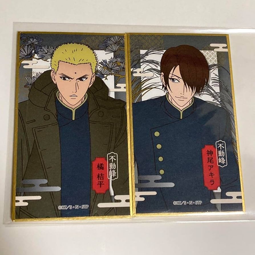 テニプリ　円盤まとめ売り　バラ可 Amazon.co.jp: 橘桔平 神尾アキラ 華絵札 色紙 新テニスの王子様