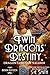 Twin Dragons' Destiny: Dragon Lords of Valdier Book 11