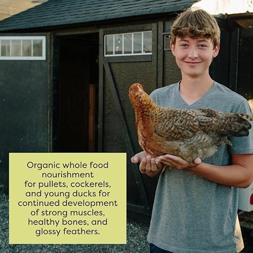 Scratch and Peck Feeds Organic Grower Crumbles - 25-lbs. - Premium Chicken and Duck Feed Formulated with Sustainable Grub Protein, Vitamins, and Minerals