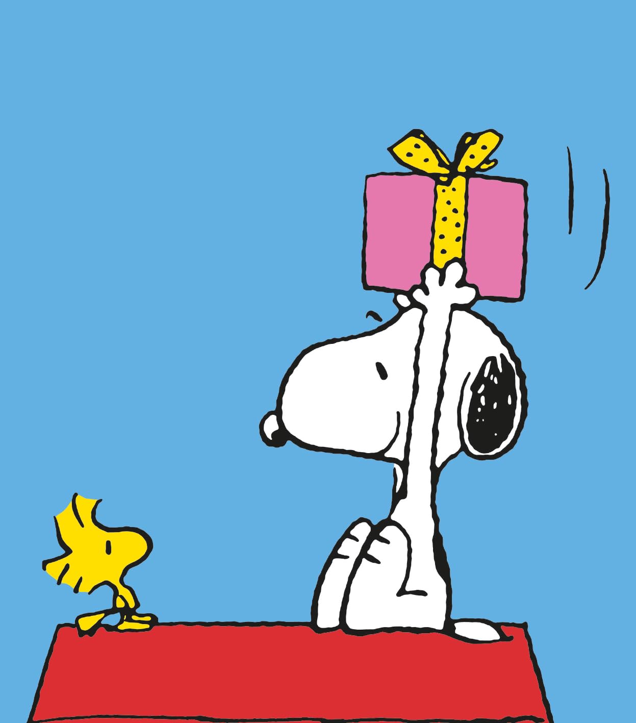PEANUTS CARD BLANK