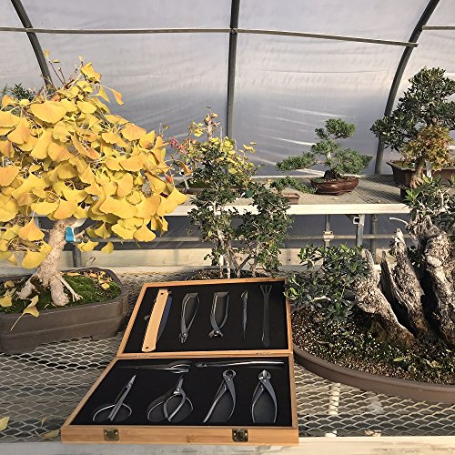 Bonsai Tool Set By Tinyroots - 11 Piece Set Includes: Traditional Butterfly Shaped Bonsai Shears, Concave Cutter, Wire Cutter, Genuine Hemp Broom, Scissors & Bamboo Storage Case + Bonsai Tools #TOP3