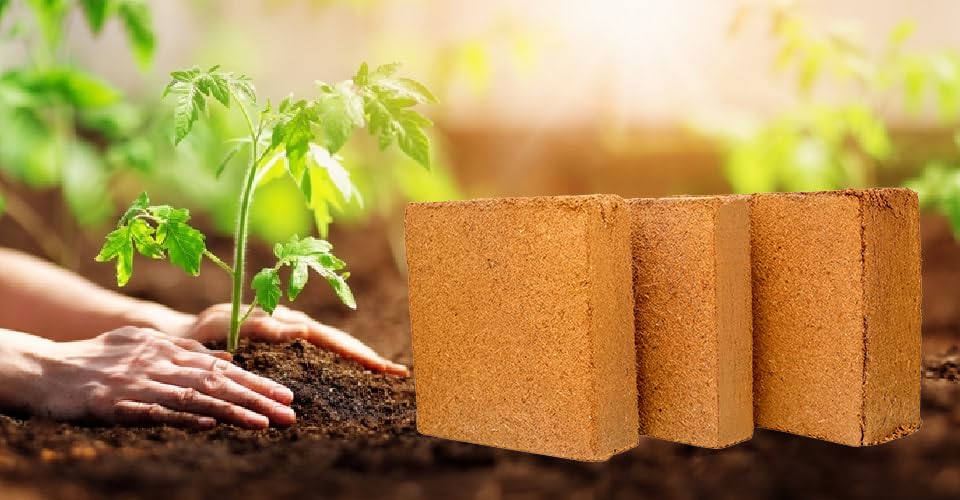 Coco Peat Block 2kg(Approx), for Plants and Gardens, Natural Organic Soil Conditioner (B0DHGS84H6) Amazon Price History, Amazon Price Tracker