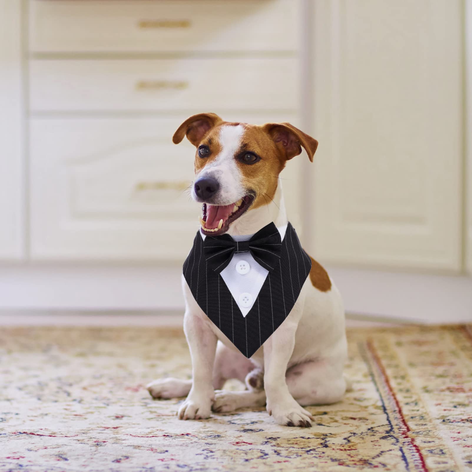 POPETPOP 3pièces Collier Bandana pour Chien Écharpe Décorative Rayé Accessoire Pratique pour Mariages Et Événements Confort Et Style pour Animaux De Compagnie