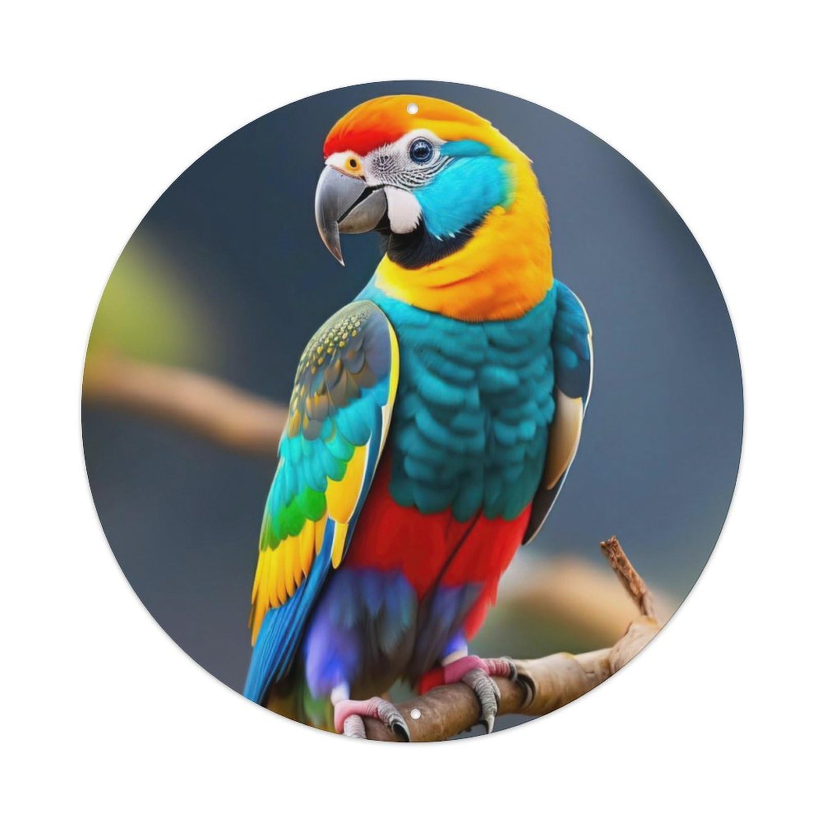 Animal Artwork Beautiful Parrot Metal Tin Sign