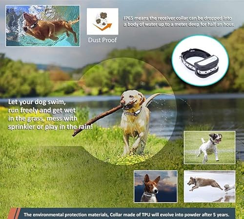 Collier InnovTec en pleine utilisation