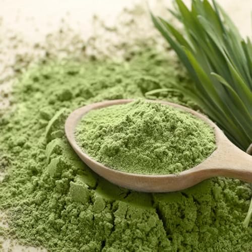 Gerstengras Pulver BIO aus deutschem Anbau (500g)