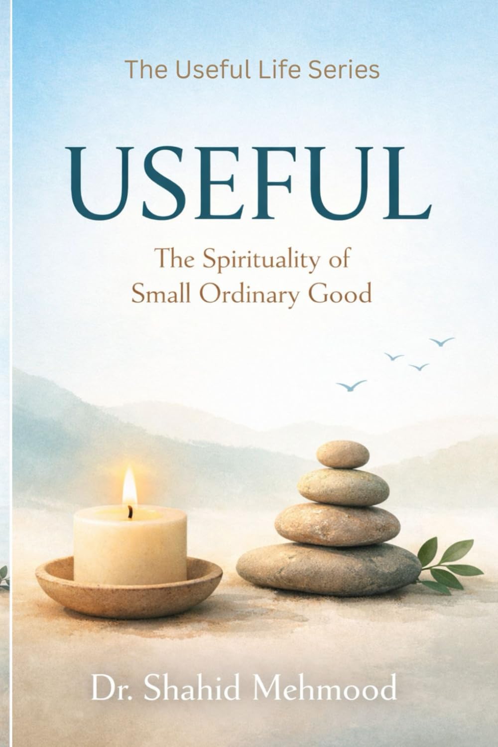 Useful: The Spirituality of Small Ordinary Good (The Useful Life Series)