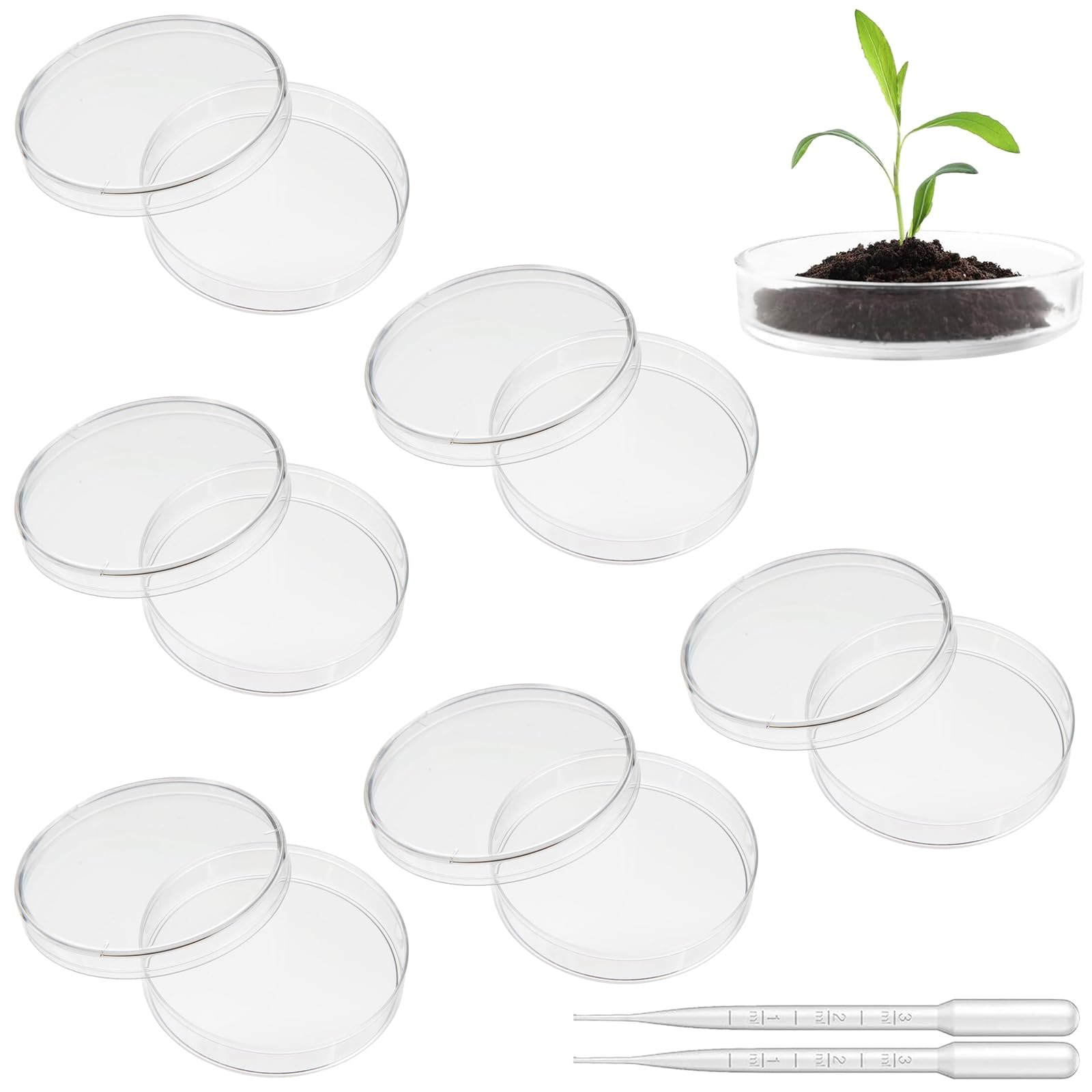 6 Pezzi Plastica Piastra di Petri, 70mm Piastra di Petri Sterilizzata Trasparente, Piastra di Petri Capsule,Plastica Di Petri Con Coperchio, per Cultura di Laboratorio Lievito Batterico